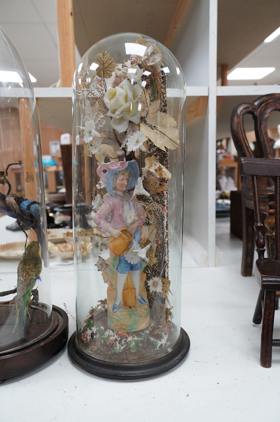 A taxidermy display of parrots, under a glass dome and a pair of cased bisque porcelain figures, largest 53cm high. Condition - fair, largest dome not original